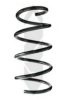 SPIDAN 87038 Coil Spring